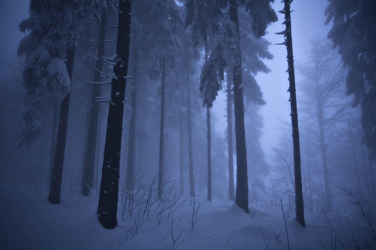 Ambiance hivernale