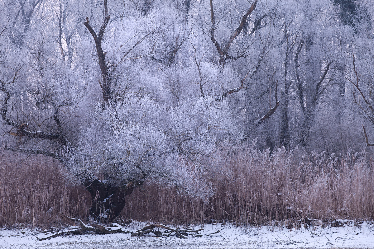 Parc naturel du Delta de la Sauer