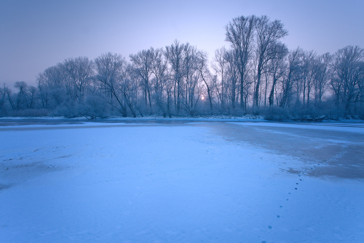 Soleil levant au Delta de la Sauer