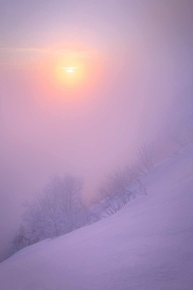Au petit matin