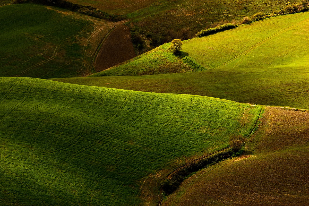 Paysage de Toscane II