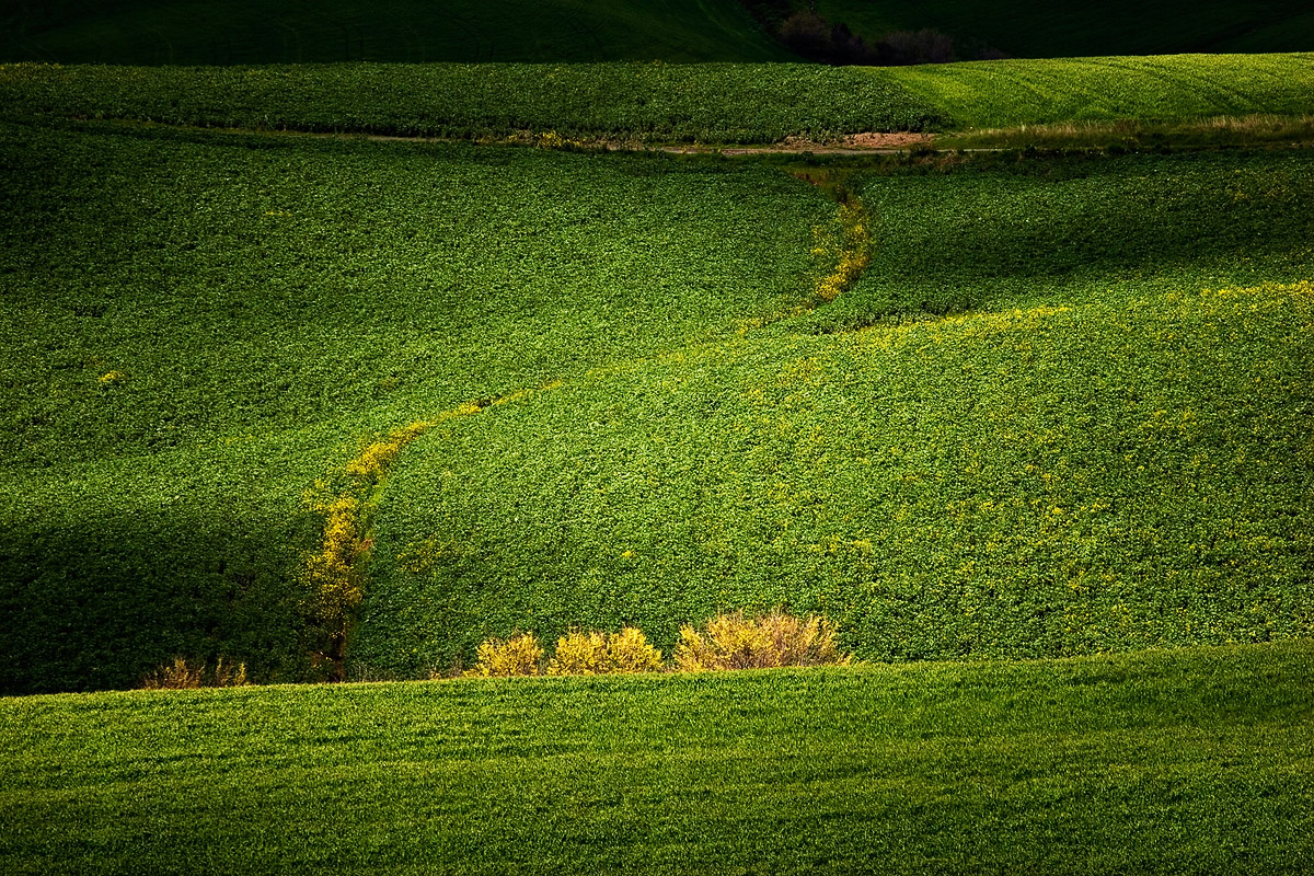 Italian Landscapes
