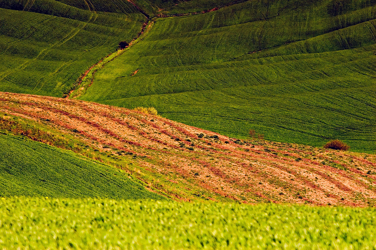 Terre rouge, Toscane