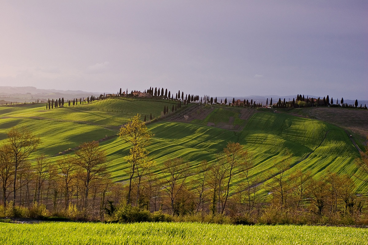 Colline, Toscane