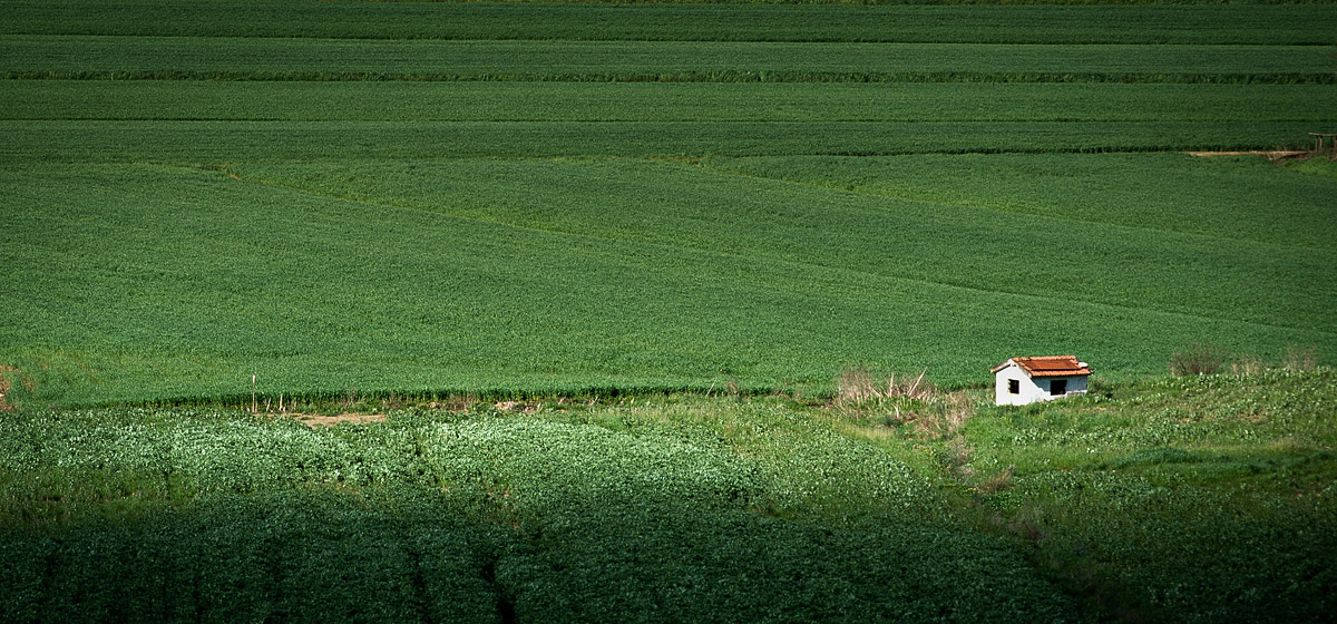 Petite cabane