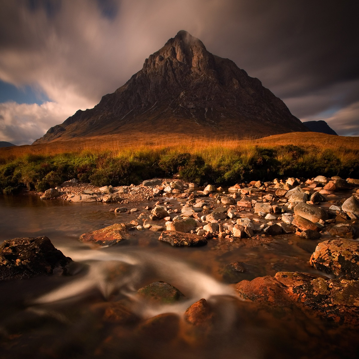 L'arbre, Rannoch Moor