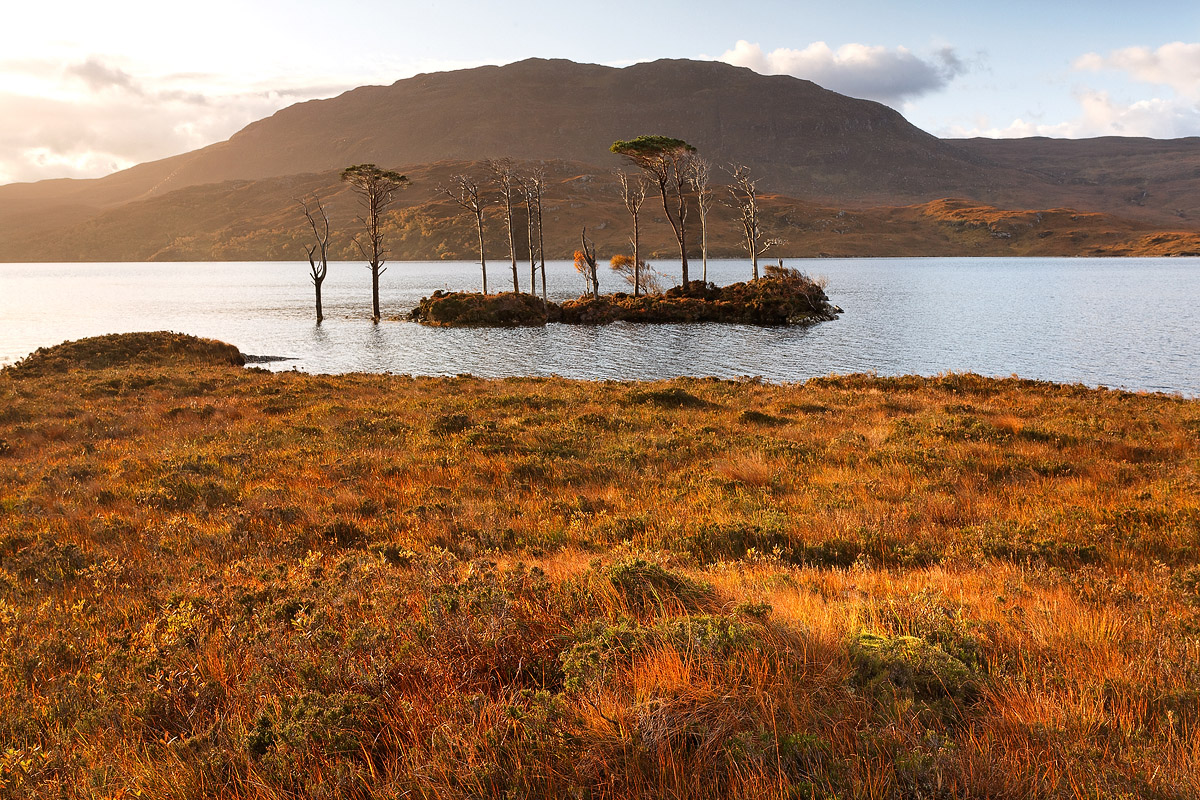 Ilot sur le Loch Assynt