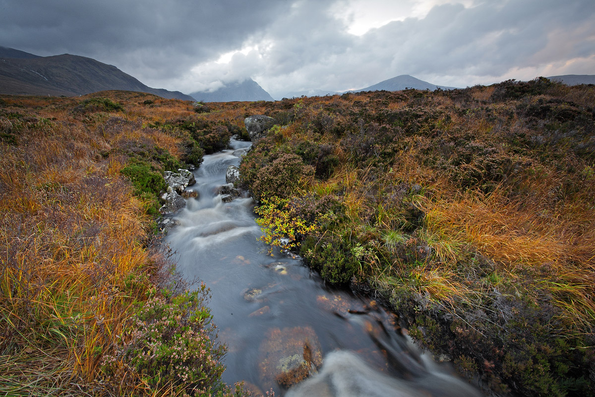 Ruisseau dans le Rannoch Moor