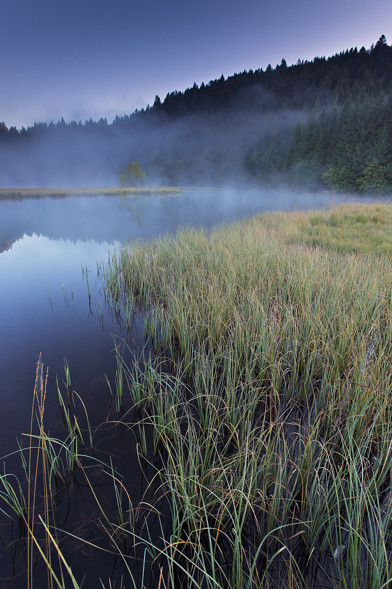 Alsace-Vosges Landscapes
