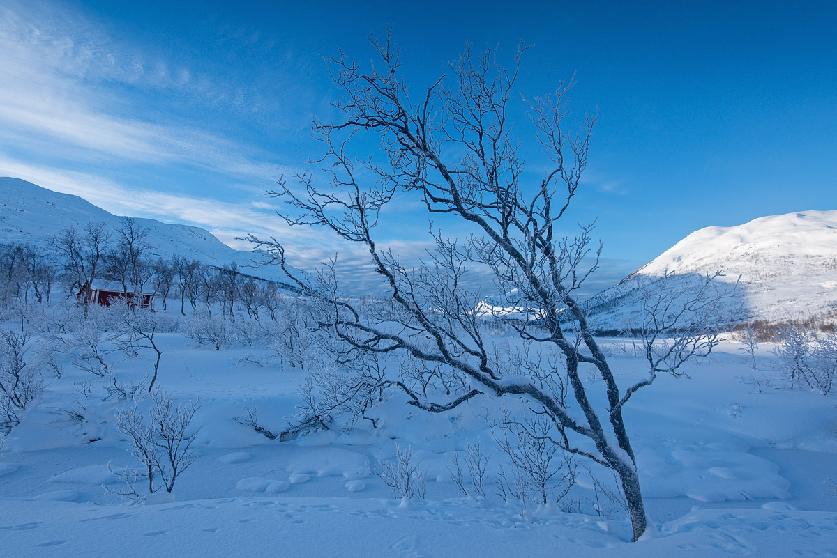 Mefjordvatnan