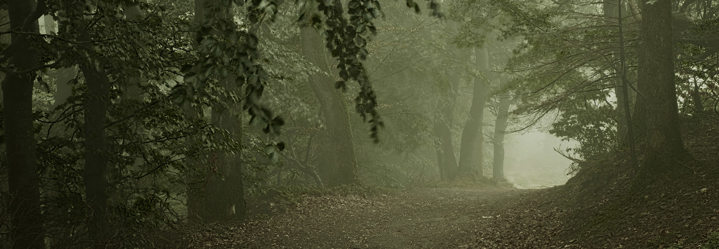 Photographie de paysage