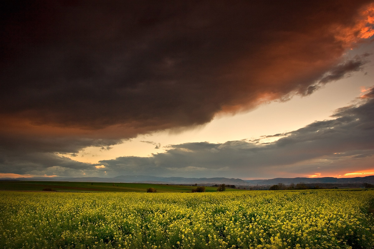 Après l'orage