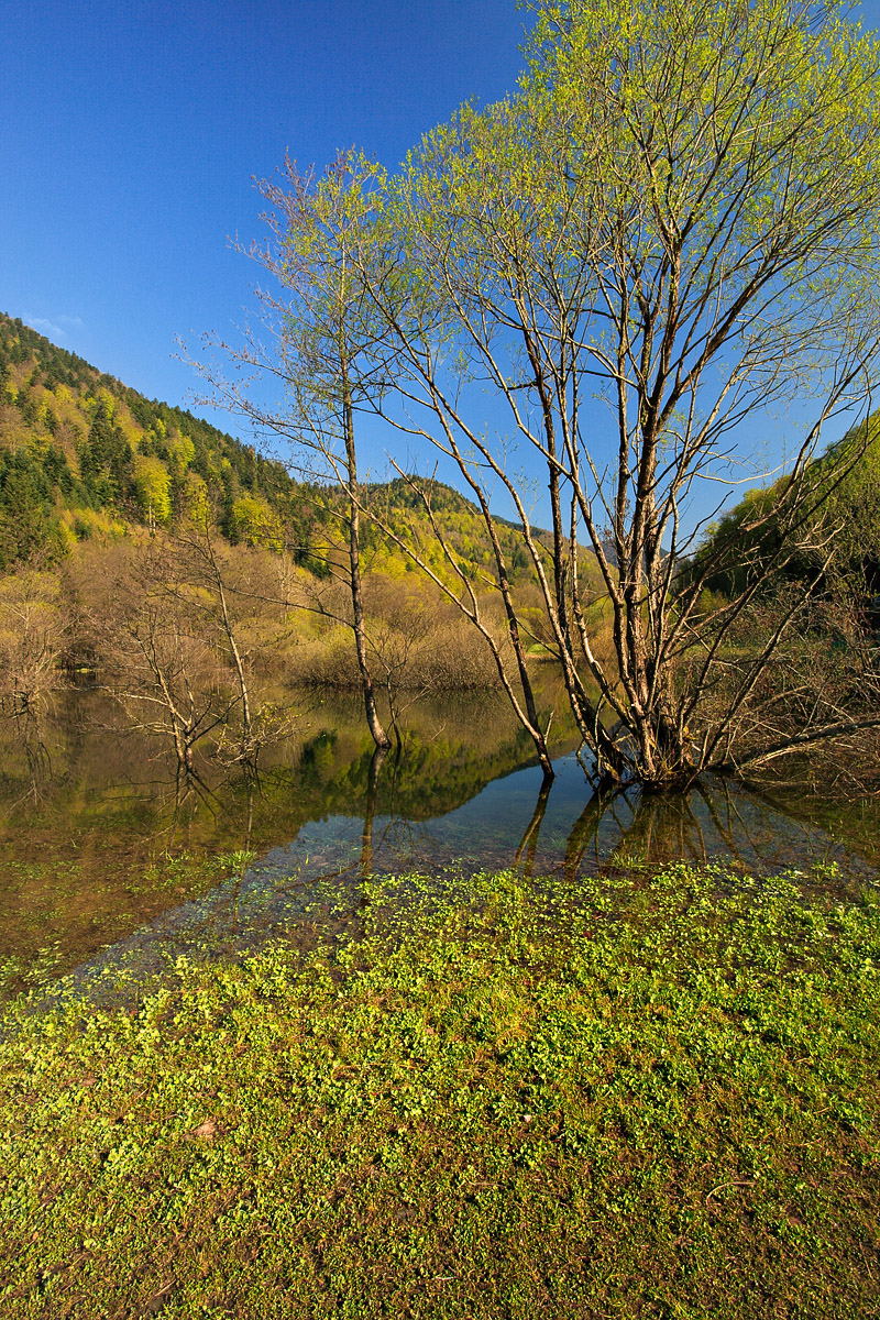 Lac de Kruth
